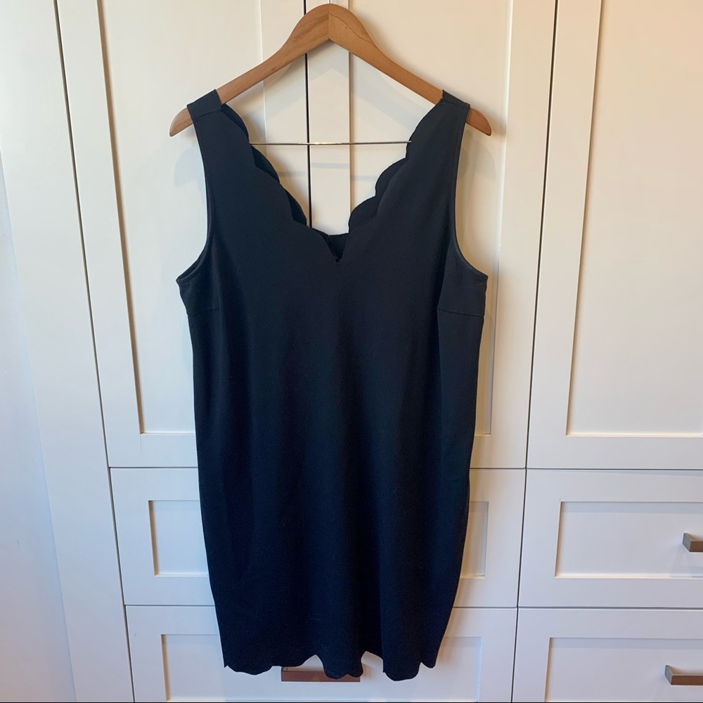 Michel Studio Collection-Fitted Black Dress with Scallop Details